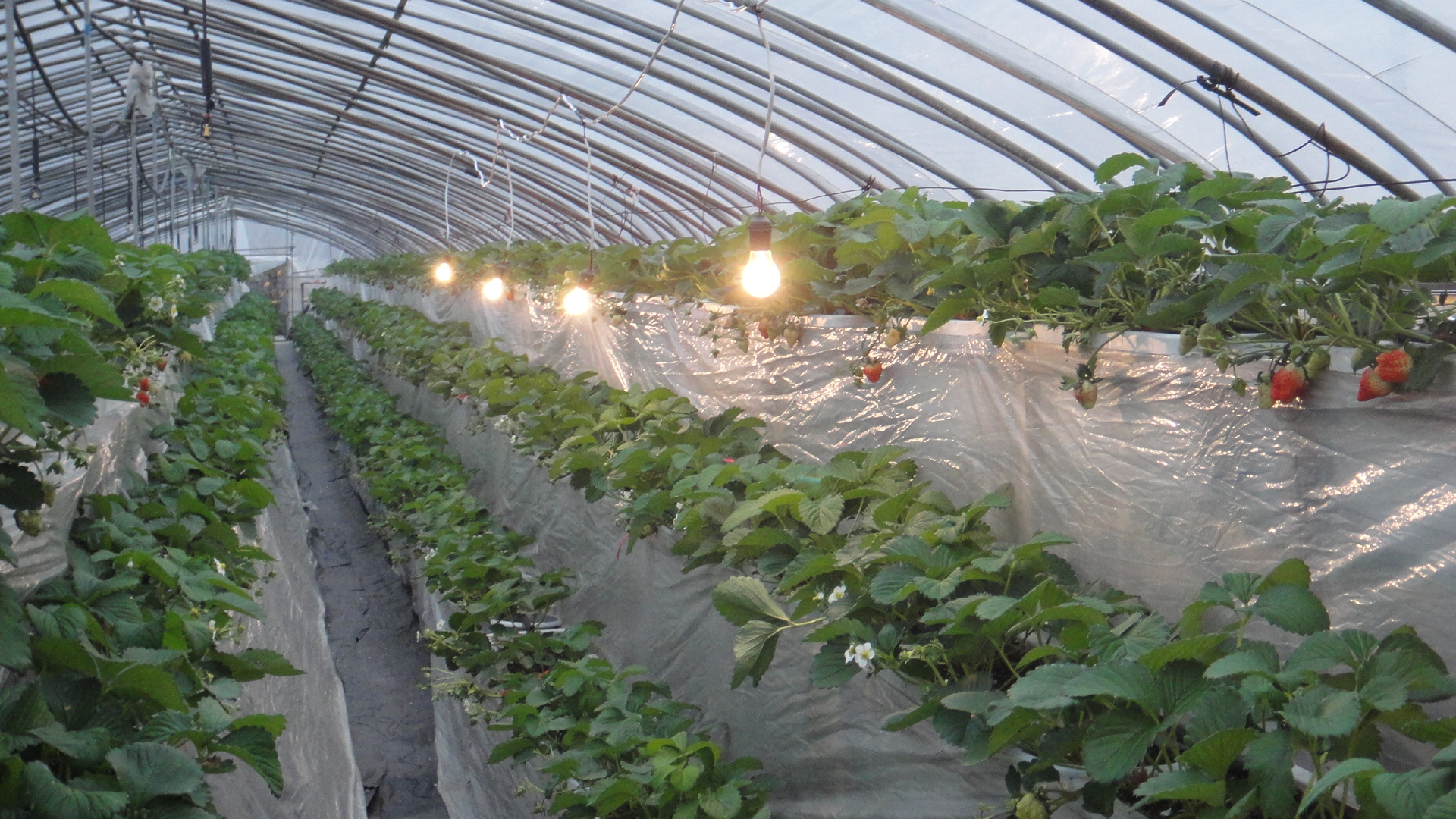 <em>女性</em>阅读-杭州<em>19楼</em>