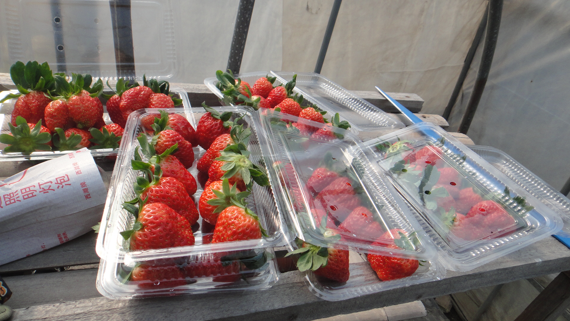 <em>女性</em>阅读-杭州<em>19楼</em>