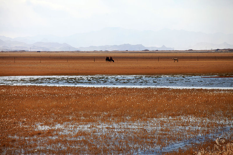 2011年10月20日,若羌至格尔木路上随拍。-边