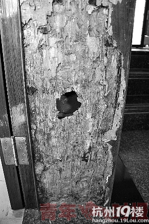 一窝白蚁 吃空3扇门 家中有白蚁 打防治所电话