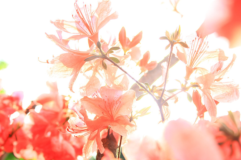 万花丛中过 做鬼也风流~-19摄区-杭州19楼