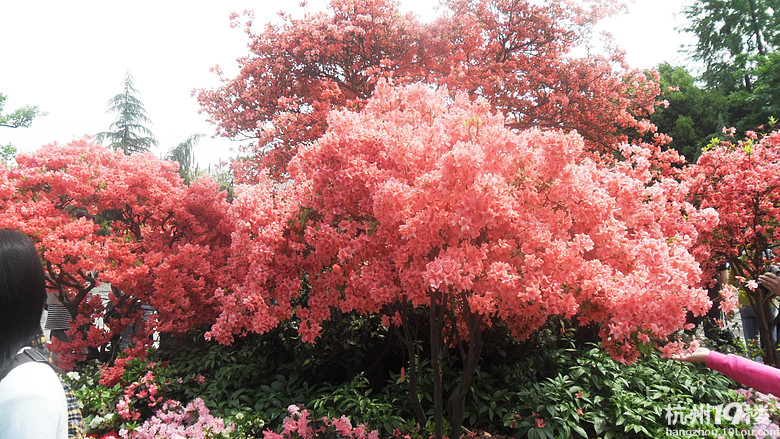 学作文,好像游玩作文更受欢迎呵!秋季班报名罗