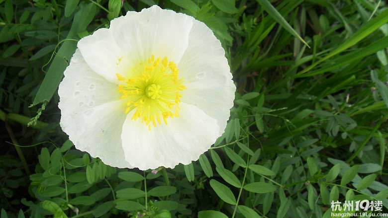 学作文,好像游玩作文更受欢迎呵!秋季班报名罗