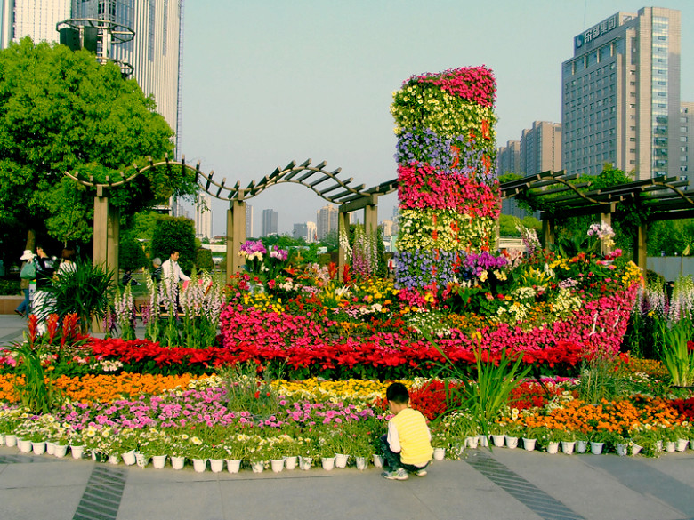 百花齐放百家争鸣—杭州都市花卉节,就在庆春广场