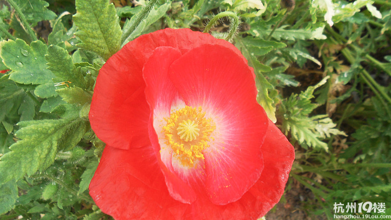 学作文,好像游玩作文更受欢迎呵!秋季班报名罗