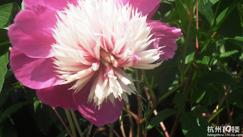 学作文,好像游玩作文更受欢迎呵!秋季班报名罗