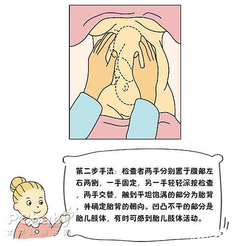 學(xué)會撫摸胎寶寶的位置（圖）
