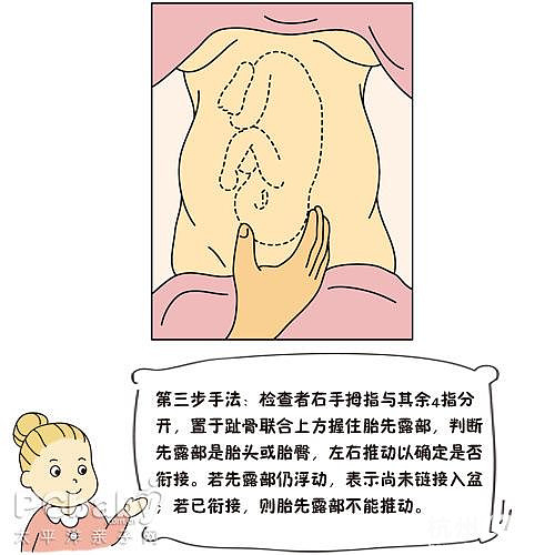 學(xué)會撫摸胎寶寶的位置（圖）