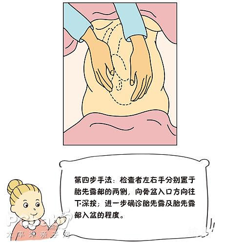 學(xué)會撫摸胎寶寶的位置（圖）