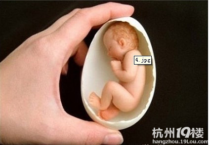 婴儿微雕,小生命的诞生真的好神奇,爱死了-爆笑