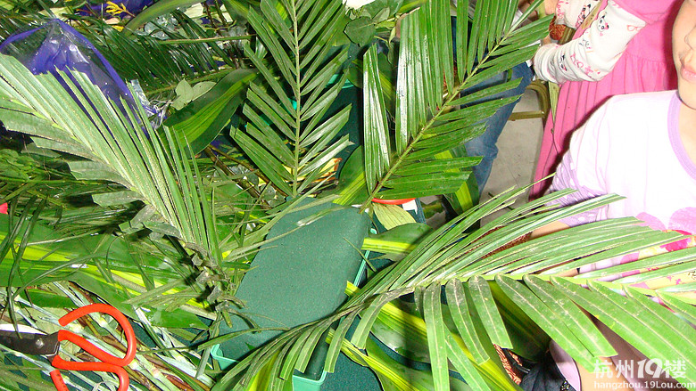 五一争章, 学会一项生活技能---插花-小学教育-