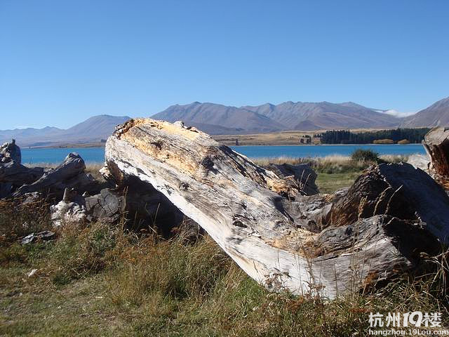 6车友会组团拉风澳新活动园满结束,尽兴而归。