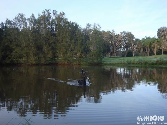 6车友会组团拉风澳新活动园满结束,尽兴而归。