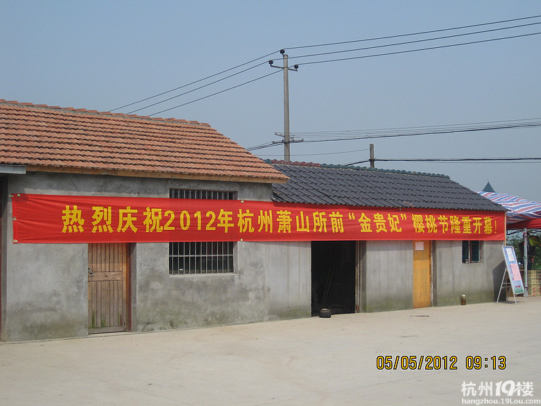 紅了，櫻桃——?jiǎng)潘尚W(xué)退休教師蕭山所前明良農(nóng)業(yè)園采摘記