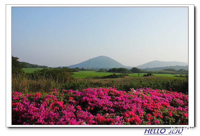 HELLO,JEJU----(j)ݍuӛ