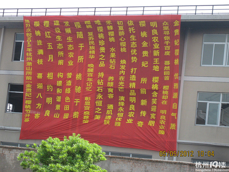 紅了，櫻桃——?jiǎng)潘尚W(xué)退休教師蕭山所前明良農(nóng)業(yè)園采摘記