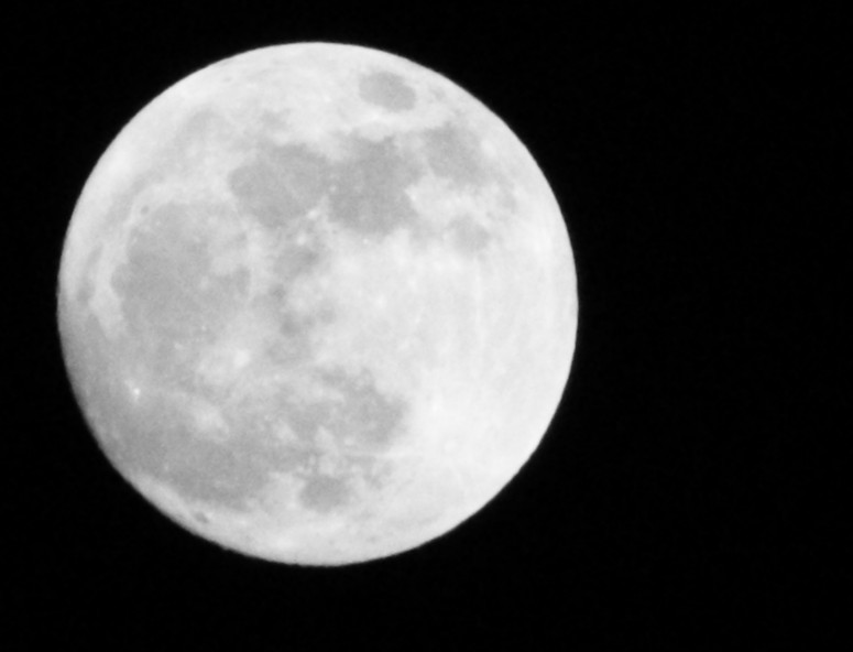 十五的月亮圆又圆简谱_十五的月亮简谱(3)