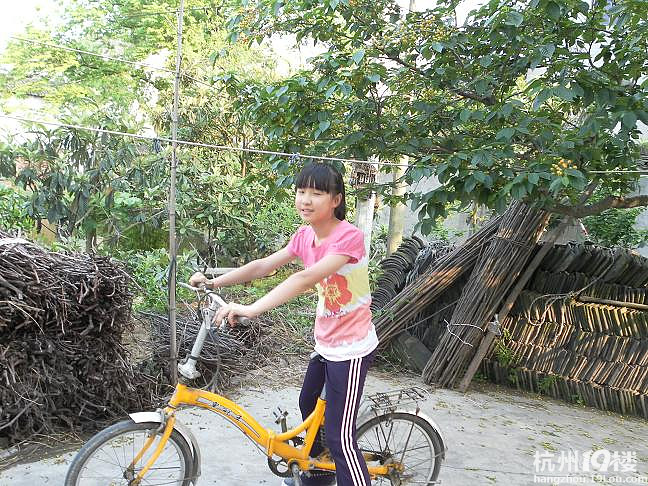 我学会的新技能--骑自行车-小学教育论坛-杭州