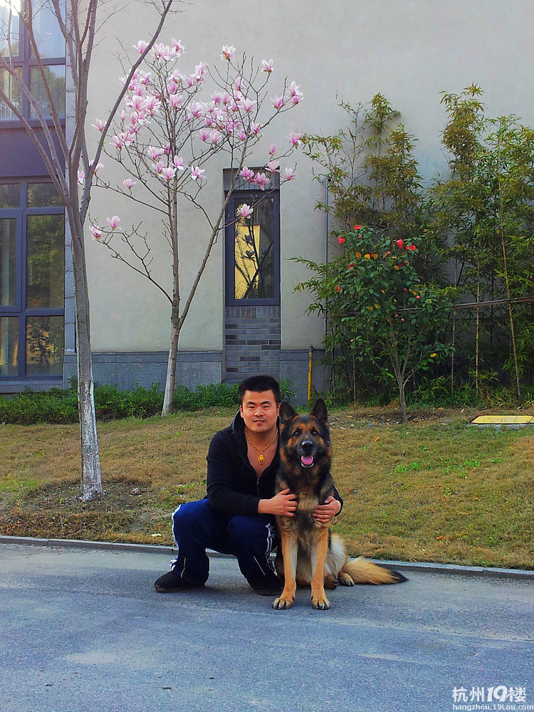 刘亦菲干爹和我的合影-家有宠物-杭州19楼