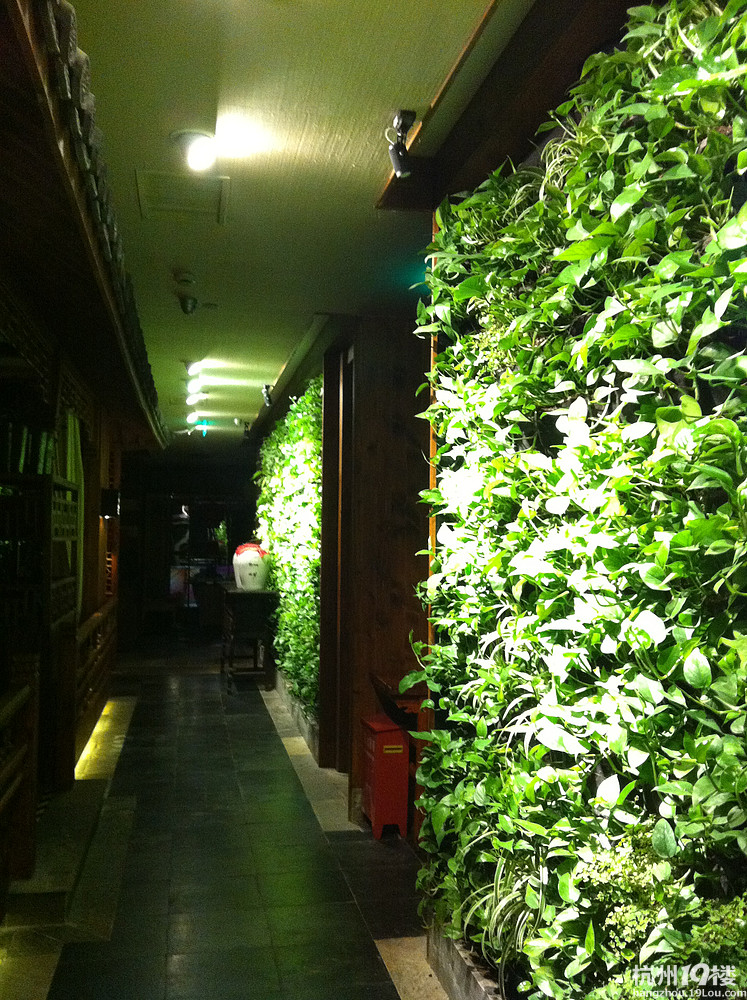 西湖银泰三楼绿茶餐厅植物墙-美食俱乐部-杭州