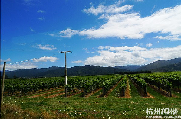 独自旅行--新西兰南岛行-游记攻略-旅游先遣队