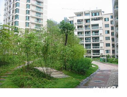 清水公寓稀缺排屋 沿运河 送车库 性价比超高-