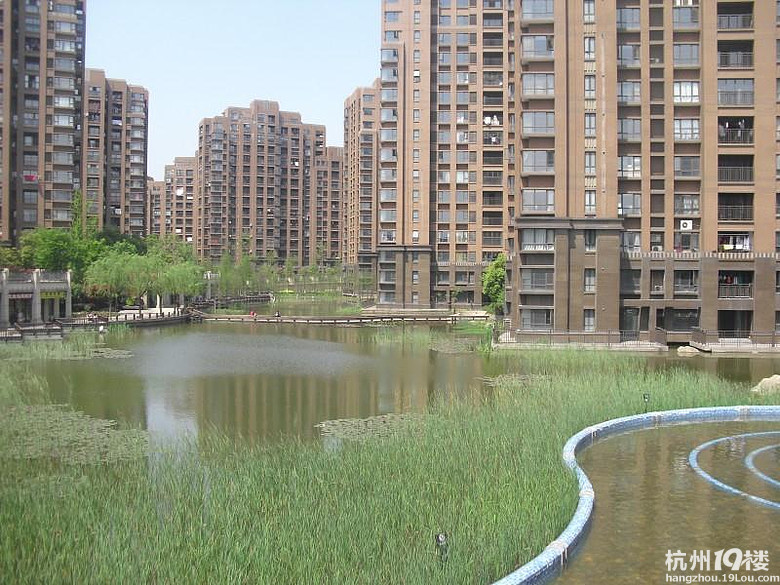 杭州余杭区复地连城国际租房-1室 1厅 1卫 1阳