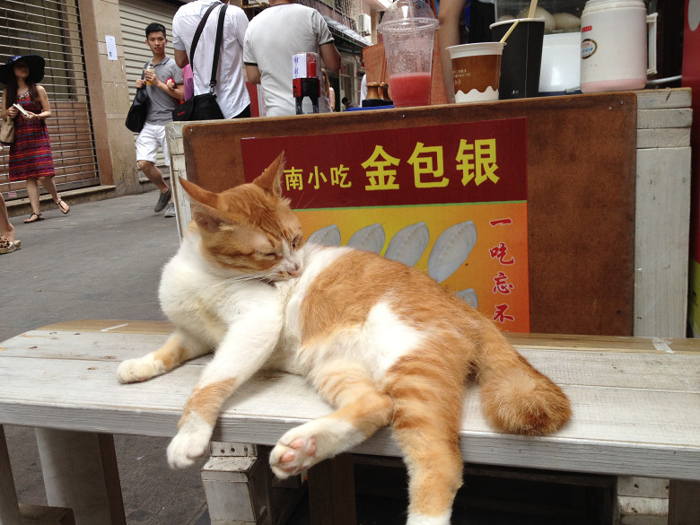 [五隊]終于完成了多年的宿愿，廈門美食集結(jié)號