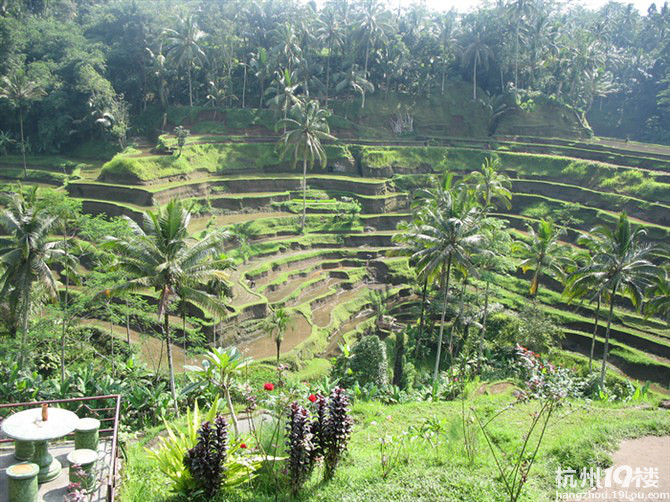 u湥ԡHONEY MOON IN BALI...