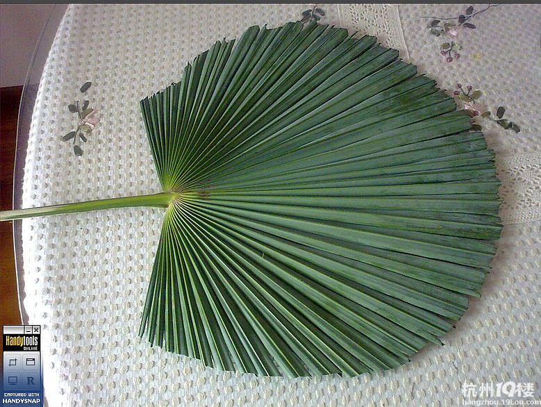 小时候扇子,自己做