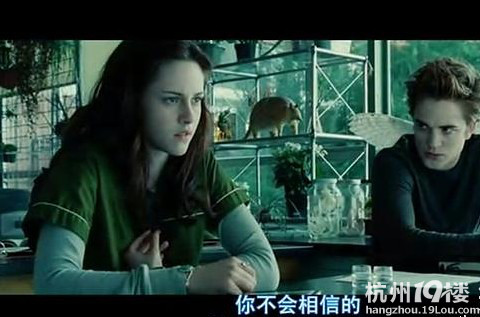 美轻松搞笑温馨的爱情片~尤其是<em>两男追一女</em>类