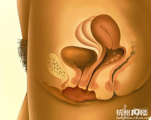 <em>女人</em>私处的15个小秘密 <em>生孩子</em>会增大5倍-深情