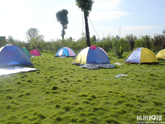 夏天去哪里,葡萄,提子,无花果,农家美食,秀山美