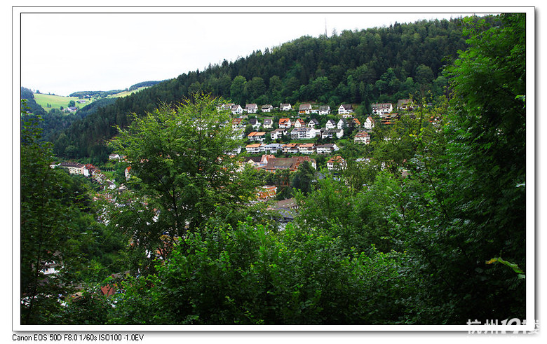 德国一小镇停车位分男女专用 男性车位较难停