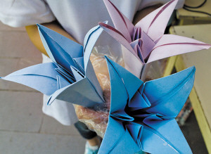 大学生设计有趣小实验 一朵纸花能告诉你有没