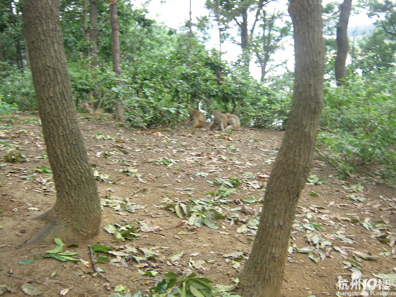 河南信陽市區(qū)南灣湖