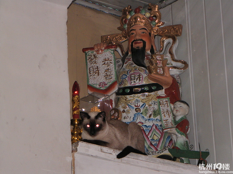 暹罗妹妹<em>找帅哥</em>-无偿征婚-家有宠物-<em>杭州</em>19楼