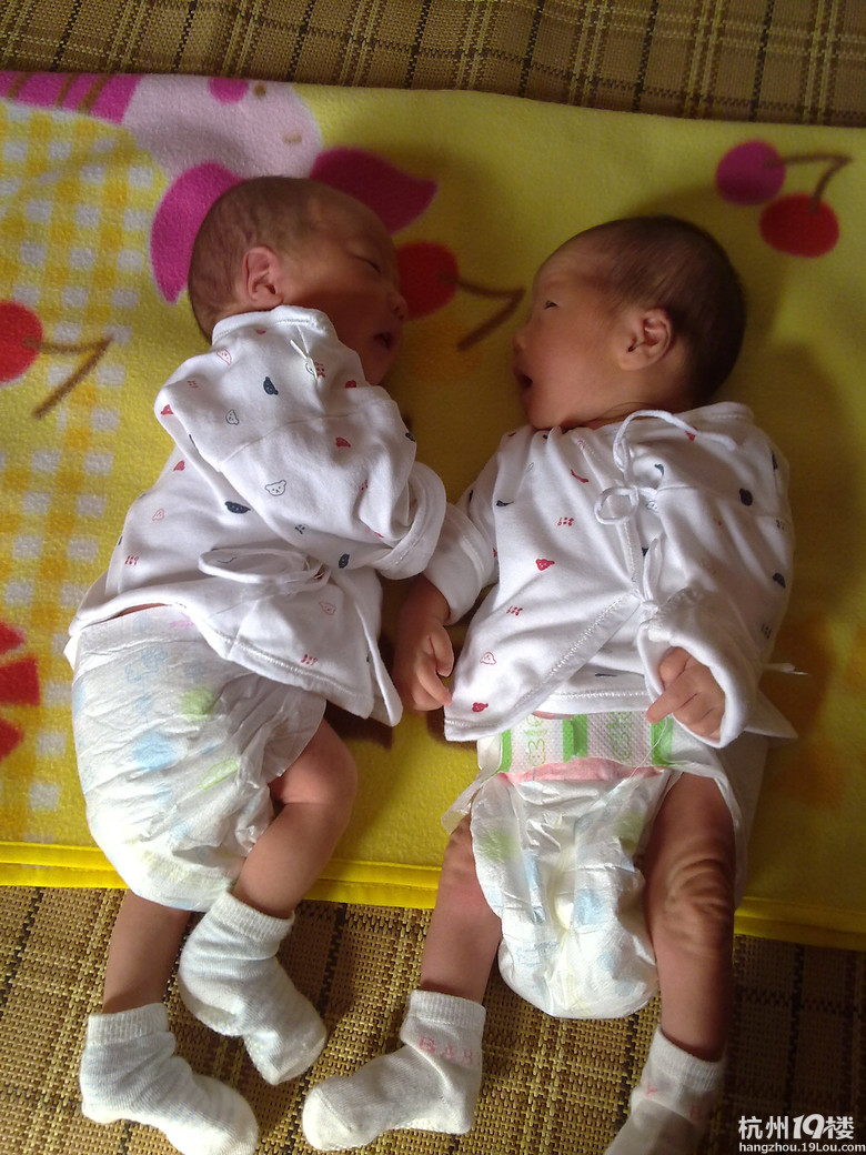 龙凤宝宝出生了!-准妈妈论坛-杭州19楼