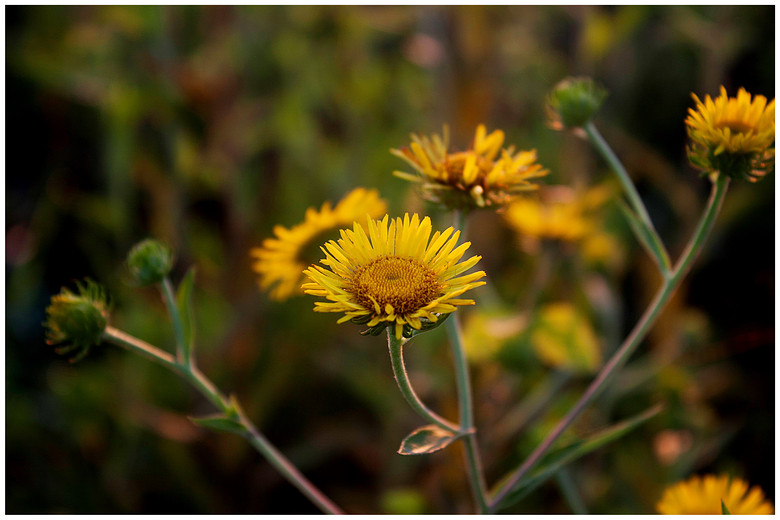 哈利波特8-《<em>小洁妹纸</em>与混血美女》-19摄区-杭