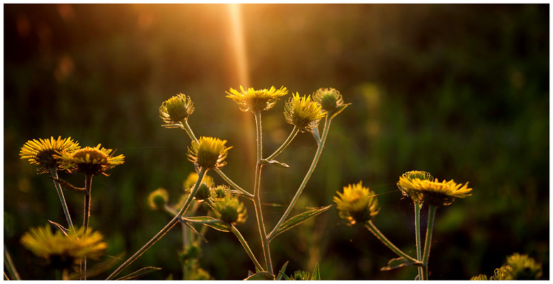 哈利波特8-《<em>小洁妹纸</em>与混血美女》-19摄区-杭
