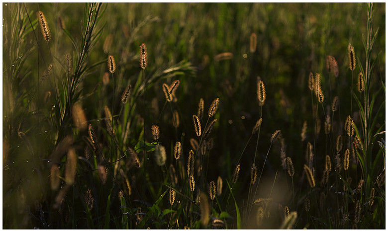 哈利波特8-《<em>小洁妹纸</em>与混血美女》-19摄区-杭