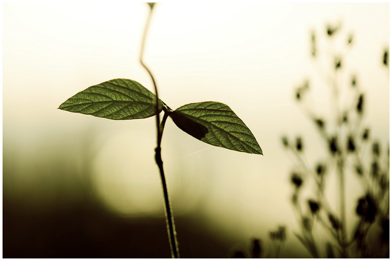 哈利波特8-《<em>小洁妹纸</em>与混血美女》-19摄区-杭