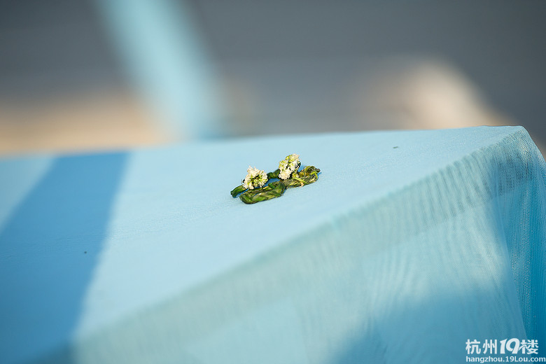 婚礼上老公用草编的戒指向我求婚~~~~-新娘日记-结婚大本营-杭州19楼