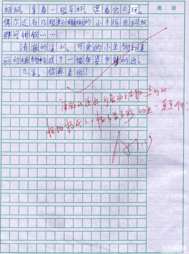 小学四年级的作文-杭州九溪-小学教育论坛-杭州