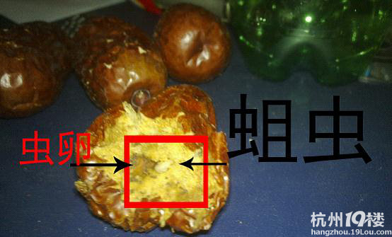ЋD؈񗗳Գx(chng)ЈDࣩ