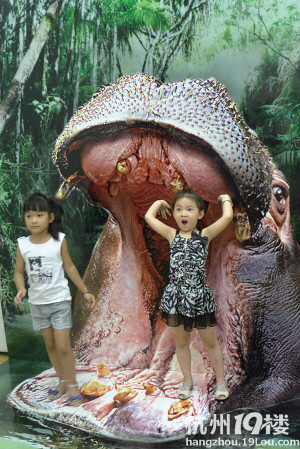 杭州图书馆有好玩的3D艺术展-小学教育-小学教