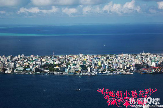 【首页帖】〓马尔代夫蜜月游〓绝美莉莉岛Lily