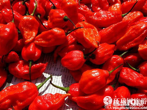 "断魂椒"被封世界第一辣 印军方欲制造"辣椒手榴弹"-其他-养生保健-杭州19楼