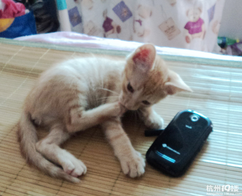 СҰְ֋ͳ