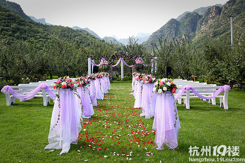 紫色婚礼布置--草坪婚礼,酒店婚礼-婚礼服务-结